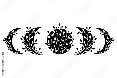 Floral moon phases.