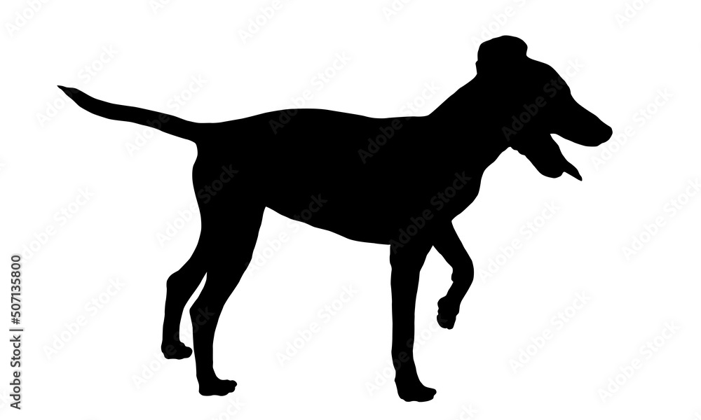 Black dog silhouette. Standing miniature pinscher puppy. Pet animals. Isolated on a white background. Vector illustration.