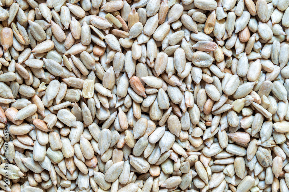 texture of peeled sunflower seeds texture of peeled sunflower seeds
