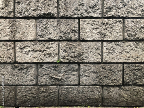 石垣の壁