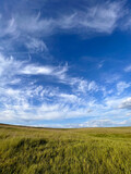 Beautiful landscape on meadow with scenic cloudscape.
