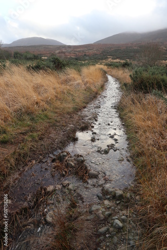 Mangerton Walk - Killarney - Kerry - Ireland photo