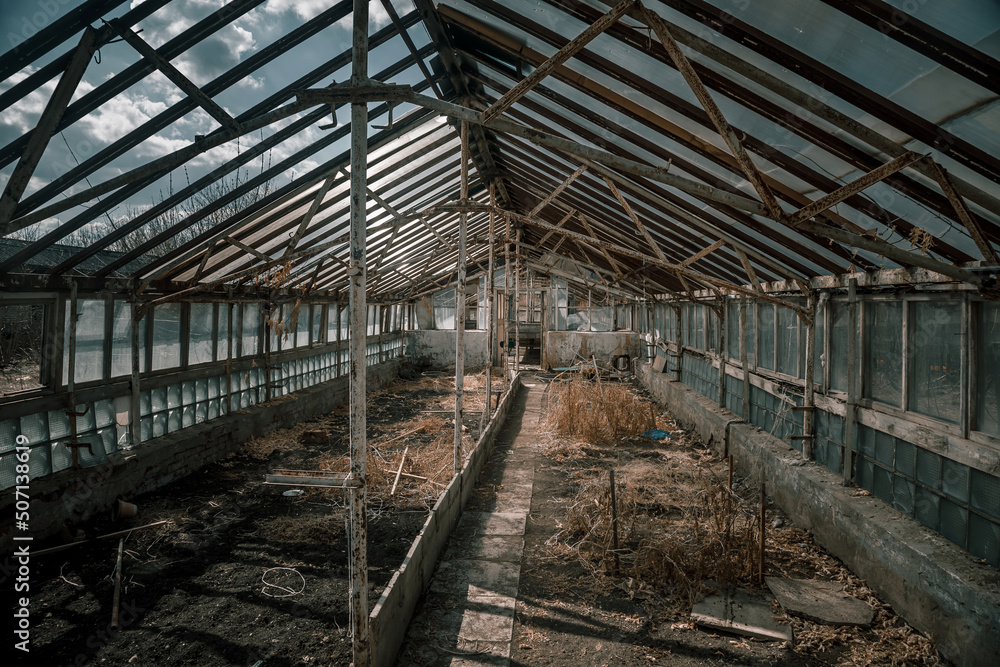 Old abandoned greenhouses. Dead plants. Interior of an abandoned building. Sunny day. Wooden greenhouses.