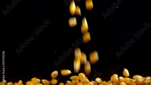 Falling popcorn mais grains on a black background. Slow motion. photo