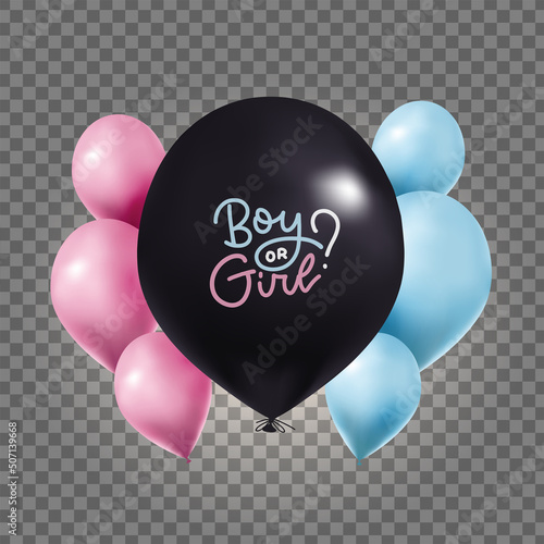Big Black balloon with lettering text - boy or girl - with pink, blue balloons on gender reveal party. Realistic 3d design elements. Festive vector helium balloons isolated on transparent background