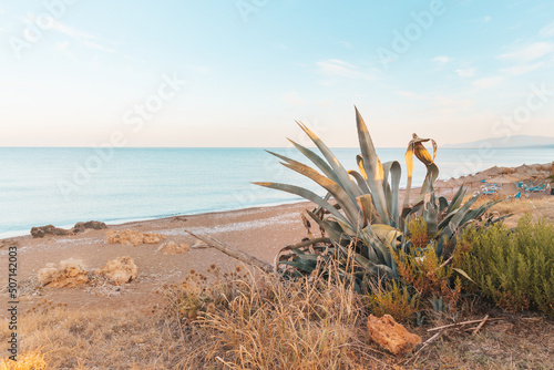 Fototapeta Naklejka Na Ścianę i Meble -  Poranek na plazy z kaktusem w Kalo Nero
