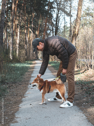 Fototapeta Naklejka Na Ścianę i Meble -  Young millennial male is walking with his cute Japanese breed shiba inu dog puppy on a riverside. Dog assistant emotional support training.