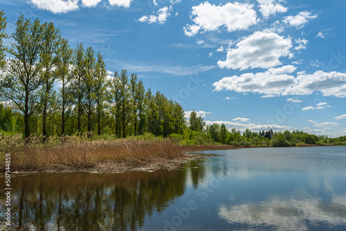 A row of tall trees on the shore of the lake. Coastline of a reservoir with vegetation and shrubs. The water reflects the blue sky with clouds. Spring landscape on a sunny day