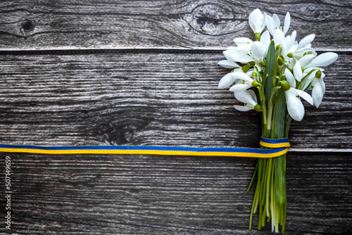 White snowdrops with a yellow-blue ribbon. Ukrainian flag