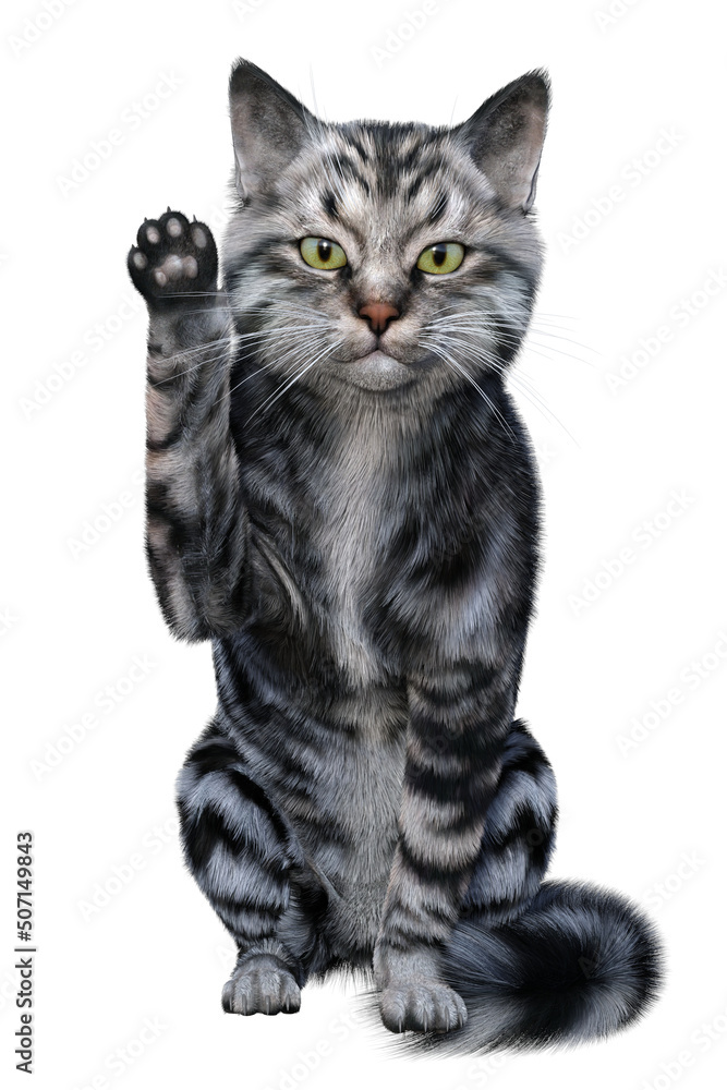 Silver tabby siberian cat sitting, the right paw raised as if beckoning. 3d render isolated on white