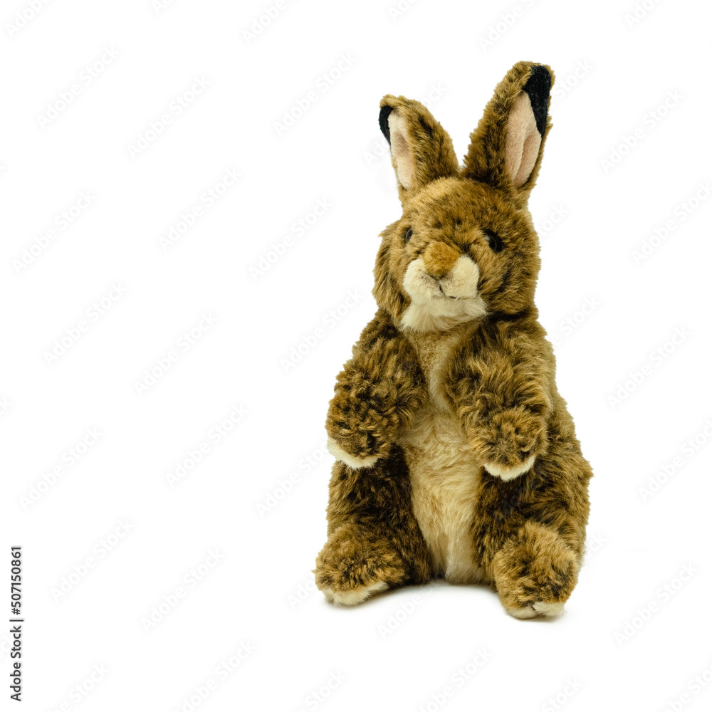 Toy hare Toy hare