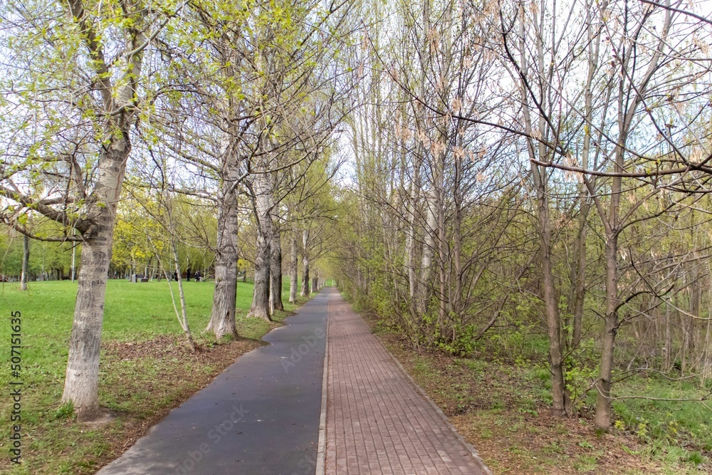 A path in a park without people. On the left is a bicycle path, on the right is a brick-lined pedestrian path.