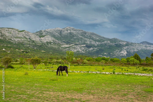 Horses graze in the background mountain with dramatic sky. A storm is coming from the mountains. © Sergey Fedoskin