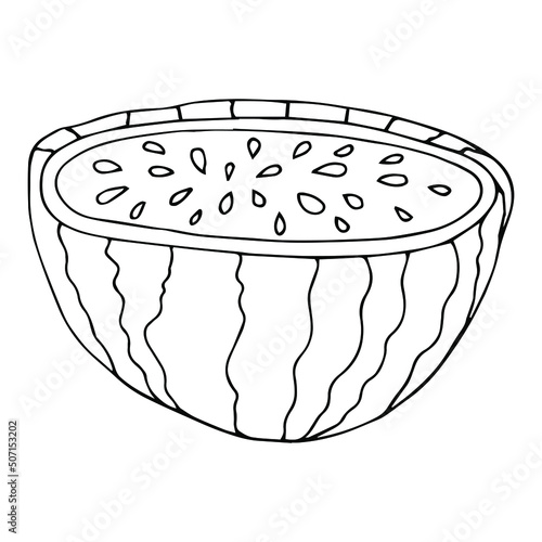 Doodle a whole watermelon on a white background.Vector watermelon can be used in summer designs, menus,textiles, and coloring pages. photo