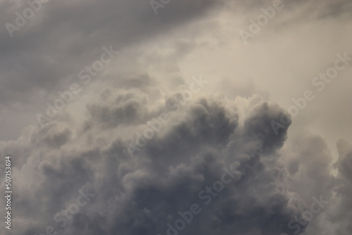 large fluffy cumulus cloud, with several tips shaded gray, rising under a pale sky.