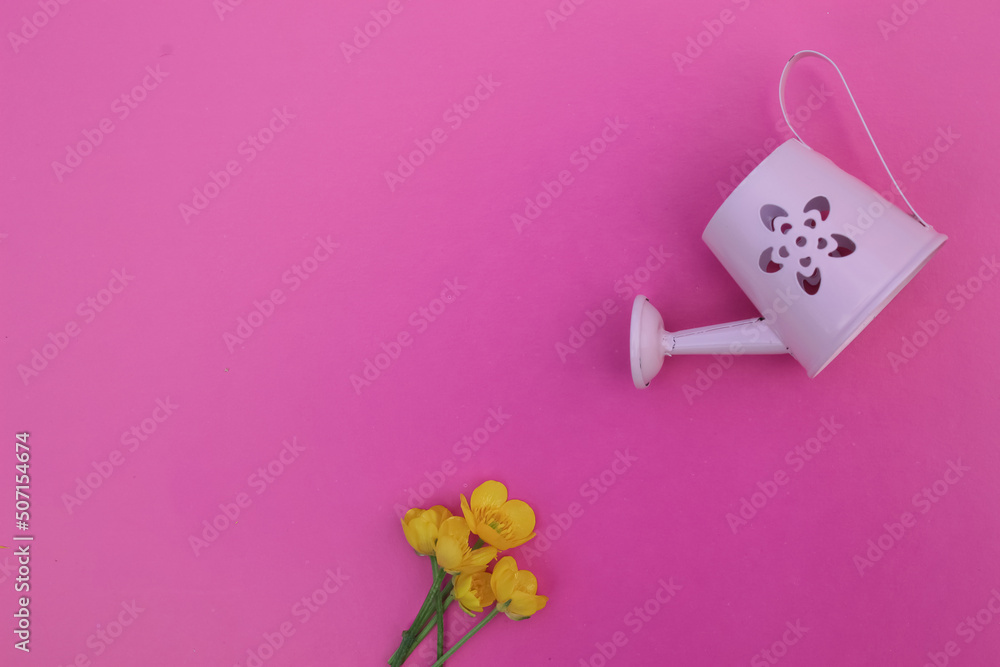 Summer composition in a minimalist style on a bright pink background. Decorative watering can and yellow flowers. Free space for text. Creative background for a postcard.