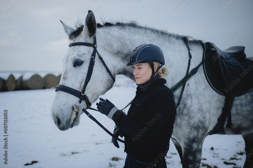 Koń na śniegu - obrazy, fototapety, plakaty 