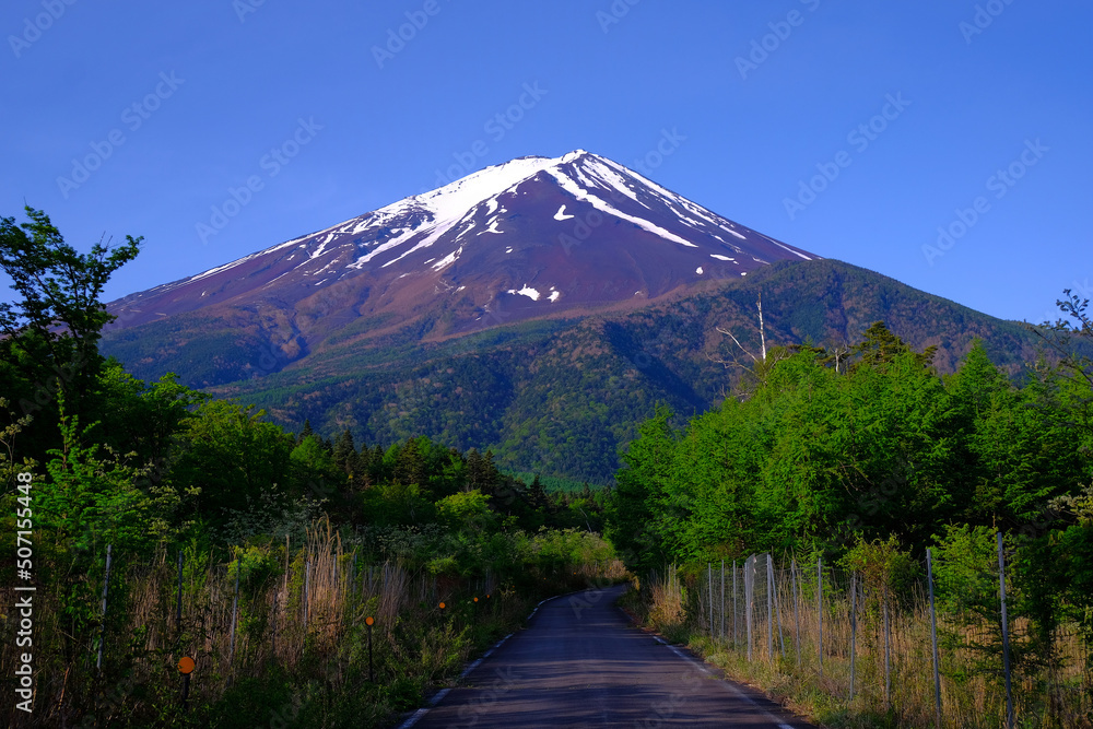 Fototapeta premium Mt. Fuji in the early morning blue sky from the forest road Fuji line in Fujiyoshida City 05/26/2022