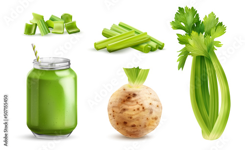 Realistic Celery Icon Set