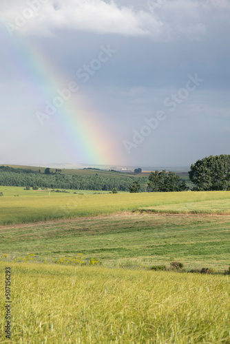 paisaje verde con arco iris 