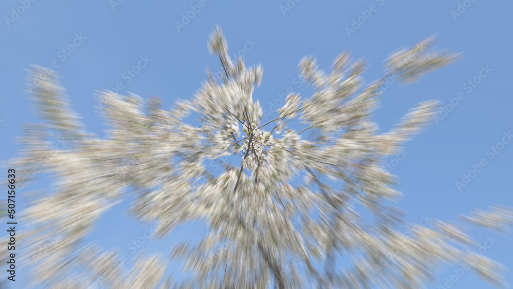 blurred background texture