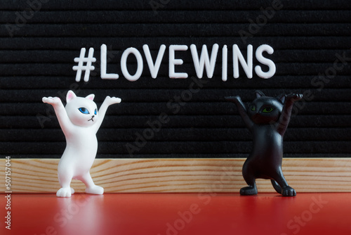 Black and white toy dancing kittens stand next to a felt board with the inscription love wins hashtag. Red background. The concept of a pacifist slogan about love. photo