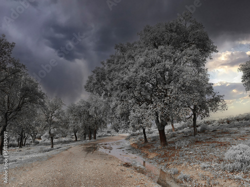 Boumerdes Algeria winter landscape photo