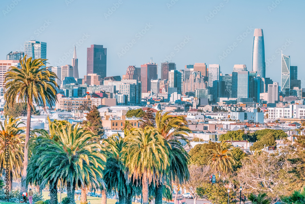 Naklejka premium Dolores Park, San Francisco, California. color landscape photo of park with palm trees in foreground and san francisco skyline in background