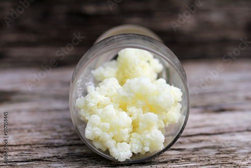 kefir mushroom into glass on wooden Background for healthy milk drink photo