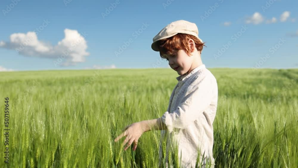 happy redhead boy walking through the wheat field on sunny spring day. agriculture countryside happy redhead boy walking through the wheat field on sunny spring day. agriculture countryside