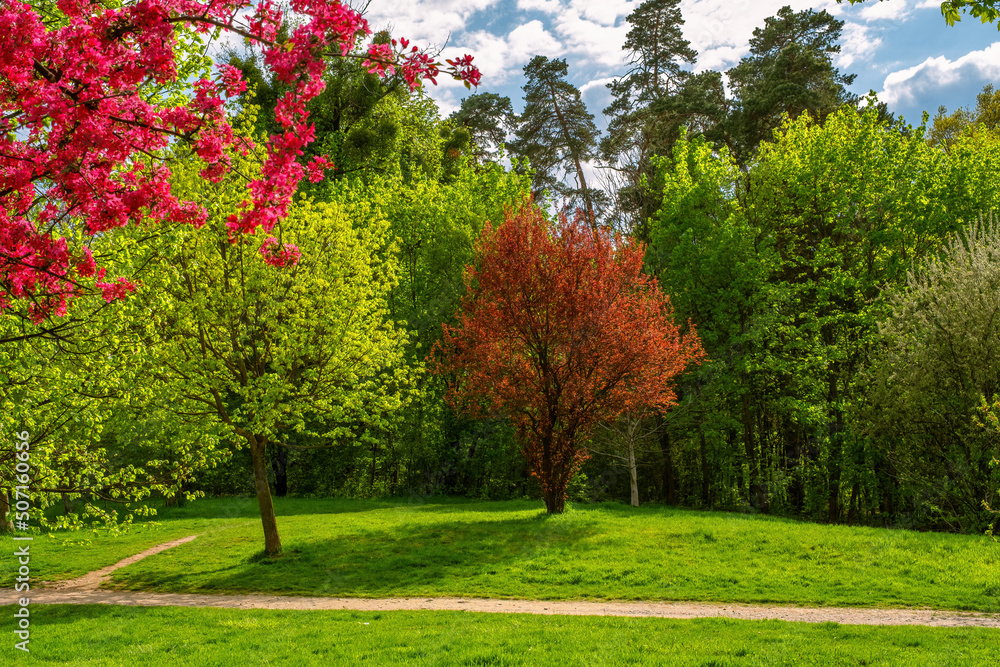 Naklejka premium trees in spring colors with flowers