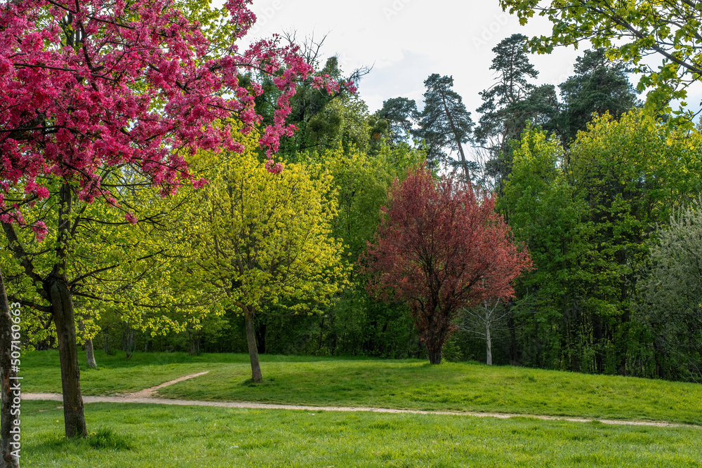 trees in spring colors with flowers