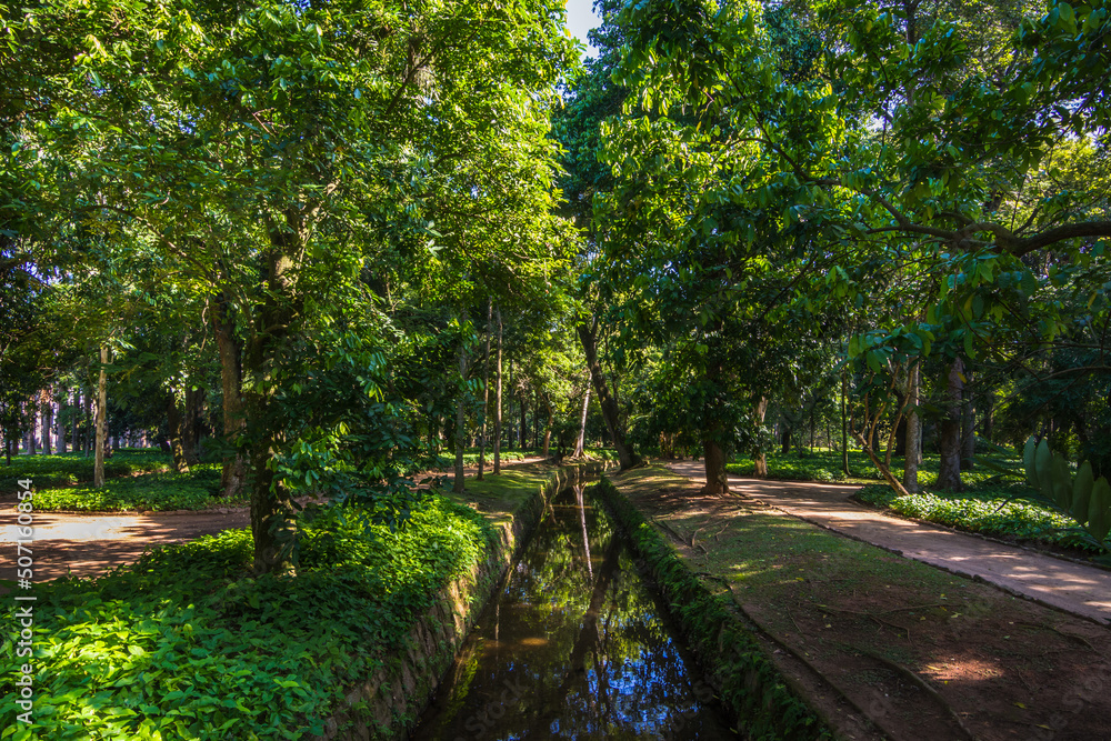 Beautiful view of Rio de Janeiro botanical garden Beautiful view of Rio de Janeiro botanical garden