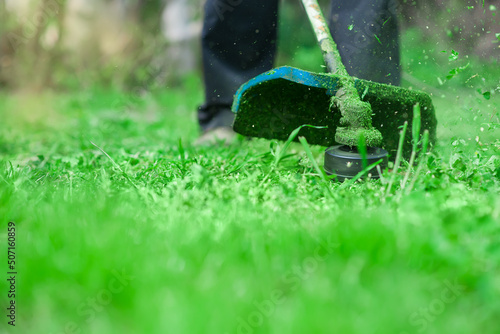Gardening. Cutting the lawn with cordless grass trimmer, edger,