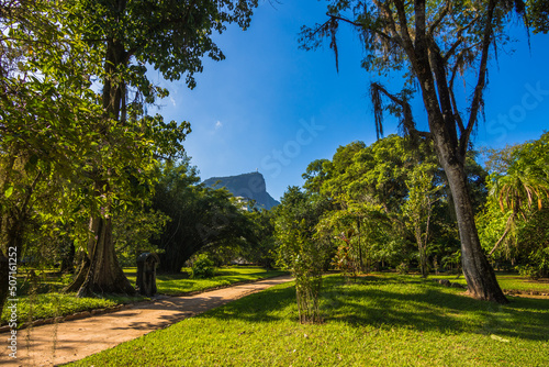 Beautiful view of Rio de Janeiro botanical garden