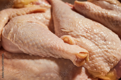 Slika na platnu Cut up pieces of raw stewing hen from a small farm in Lancaster County, Pennsylvania, USA