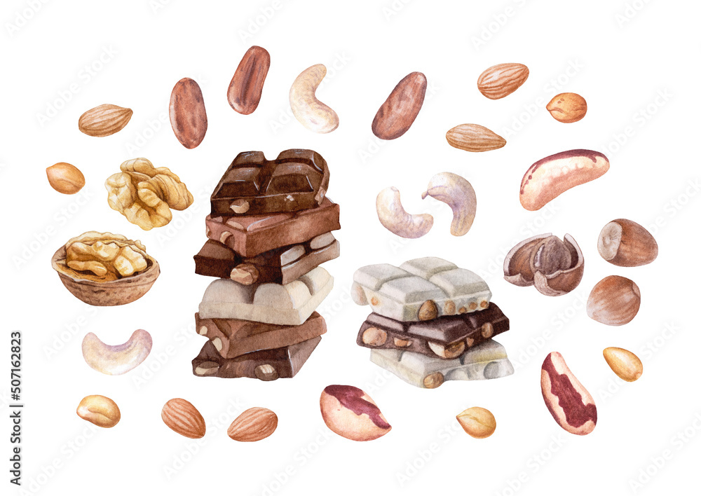 Set of watercolor nuts, dark, white chocolate isolated on white background. Walnut, cashew, pecan, cocoa beans, almond, peanuts, hazelnut. Set of watercolor nuts, dark, white chocolate isolated on white background. Walnut, cashew, pecan, cocoa beans, almond, peanuts, hazelnut.