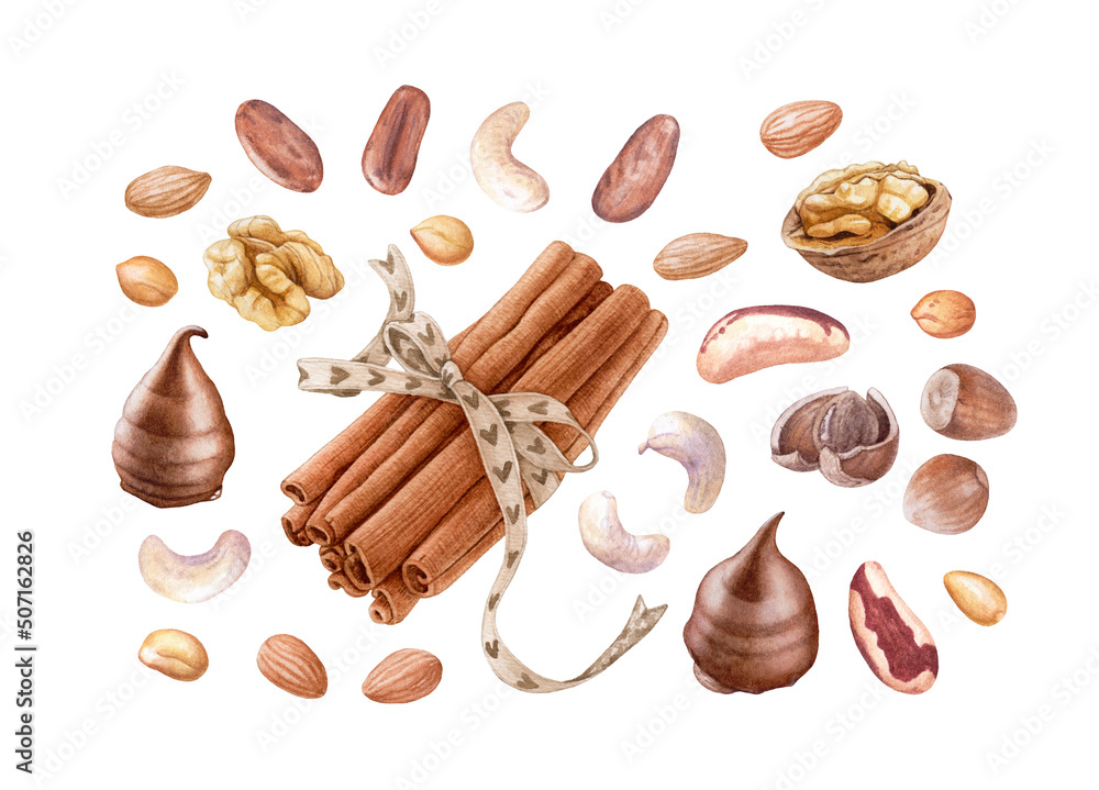 Watercolor nuts, cinnamon sticks, chocolate isolated on white background.