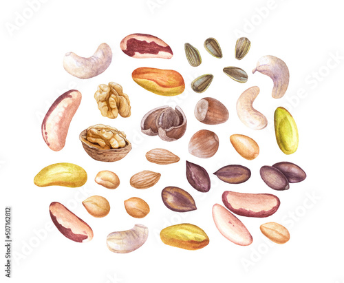 Watercolor nuts, beans, seeds isolated on white background. Walnuts, cashew, peanuts, pistachios, hazelnuts, sunflower seeds etc.
