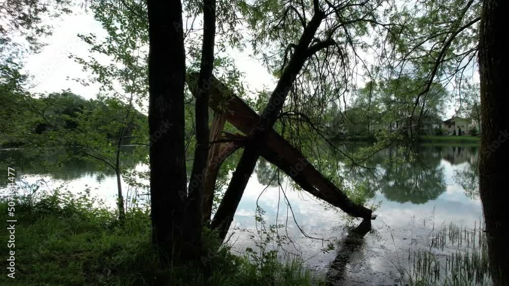 Lake with fallen tree flying around, drone video
Lake with fallen tree flying around, drone video