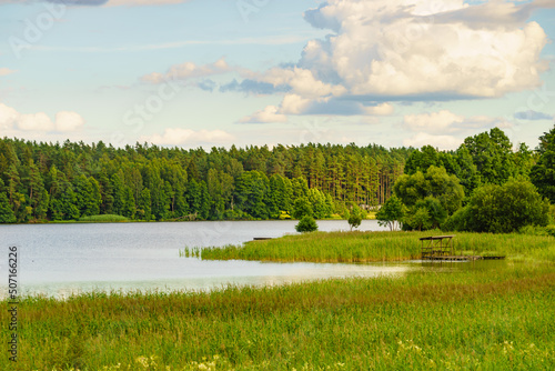 Fototapeta Naklejka Na Ścianę i Meble -  Lake with green reeds on Masuria, Poland