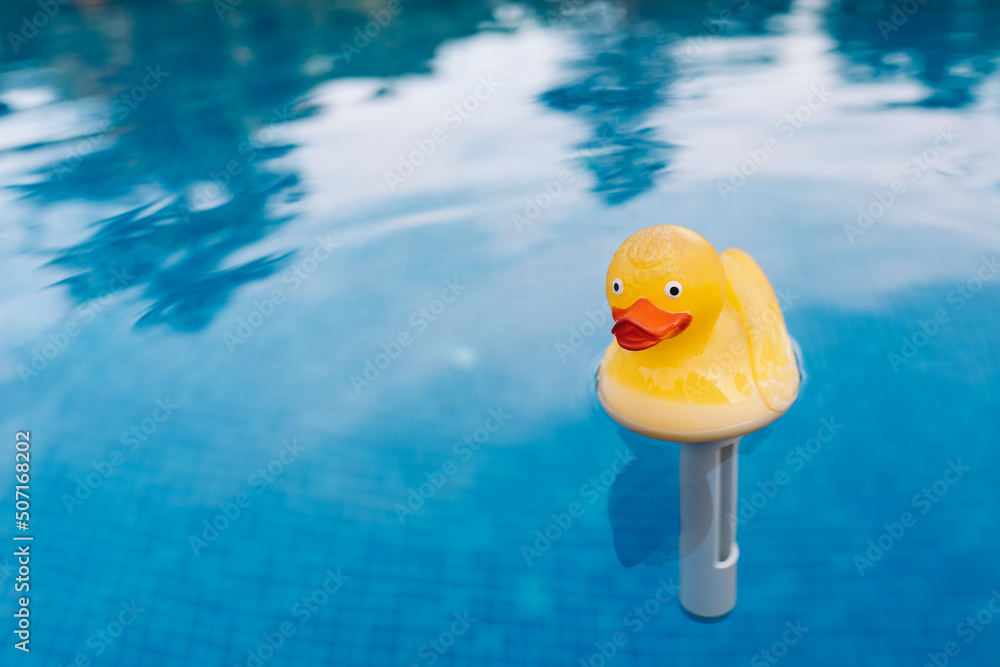 yellow rubber duck toy in the water of a swimming pool. moving water