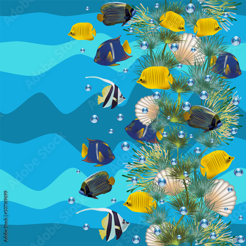 Seamless underwater pattern with seashell and tropical fish. vector illustration	