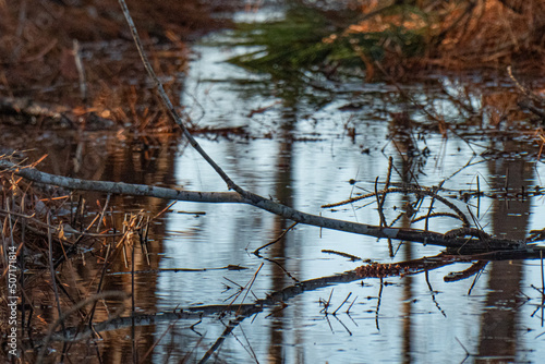 Wallpaper Mural Landscapes Torontodigital.ca