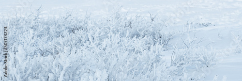 Plants in the tundra in the Arctic are covered with hoar frost. Snow and rime ice on the branches of bushes. Beautiful winter background with twigs covered with hoarfrost. Cold snowy weather. Frosting © Andrei Stepanov
