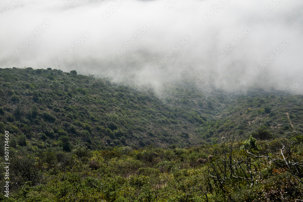 Misty morning fog on the hills