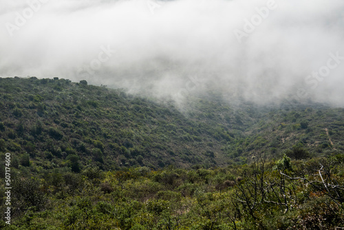 Misty morning fog on the hills