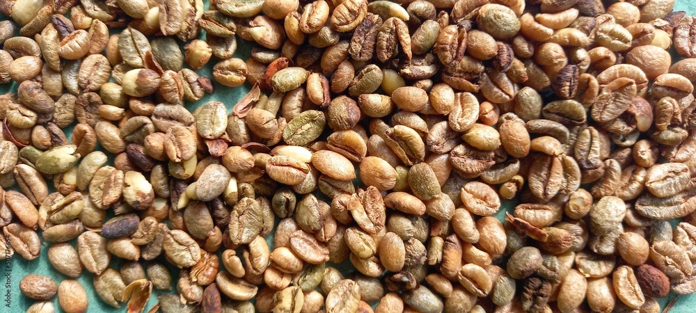 coffee beans or coffee plant seeds
coffee beans or coffee plant seeds