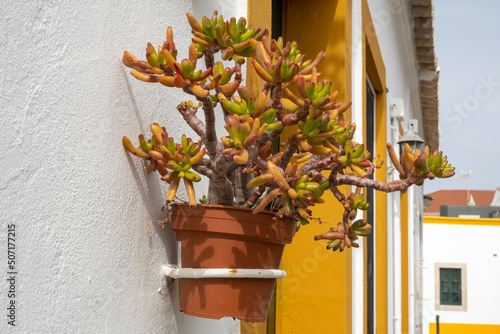 Typical old street of the city of Faro