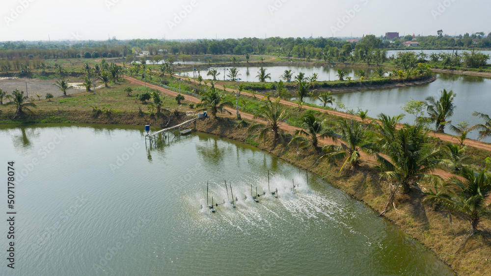 Fototapeta premium Aerial view from flying drone of Fish pond, fish farm 